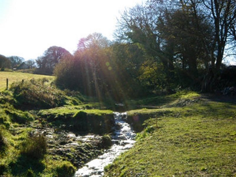 Gallery Image for Treial