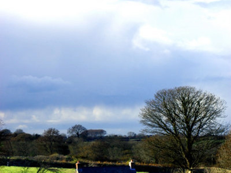 Gallery Image for Treial