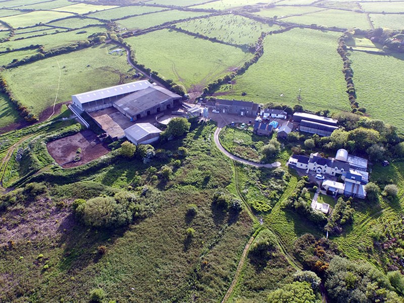 Gallery Image for Agricultural Livestock Shed