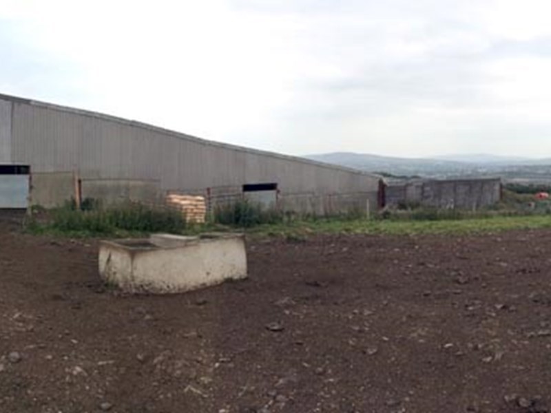 Gallery Image for Agricultural Livestock Shed