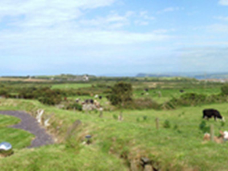 Gallery Image for Mill Cottage – Goodwick