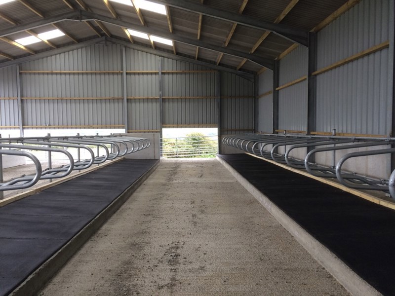 Gallery Image for Agricultural Livestock Shed