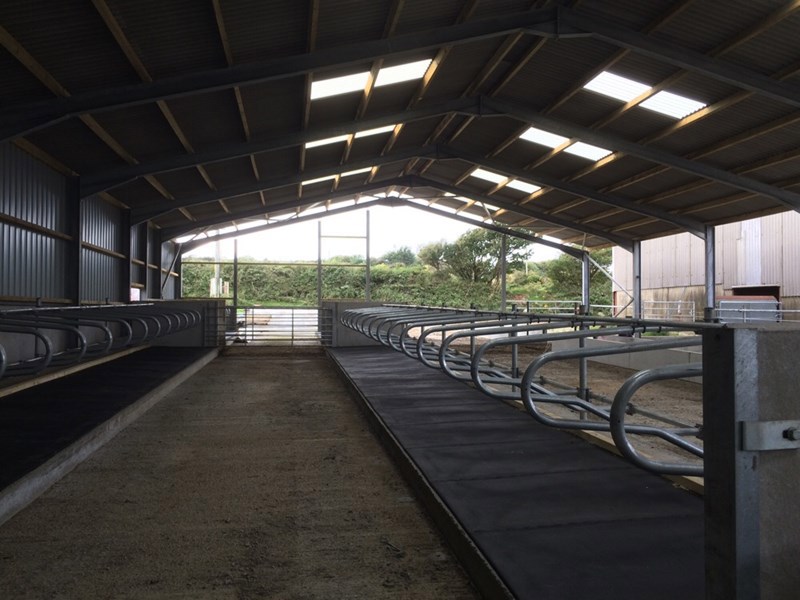 Gallery Image for Agricultural Livestock Shed