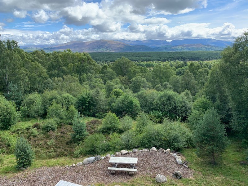 Gallery Image for Boat of Garden - New Home