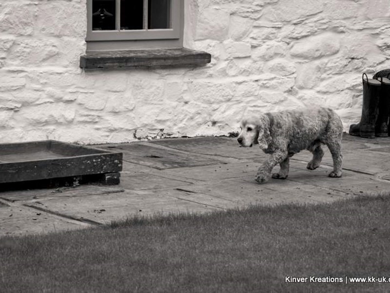 Gallery Image for Pwll Farm House | Award Winning